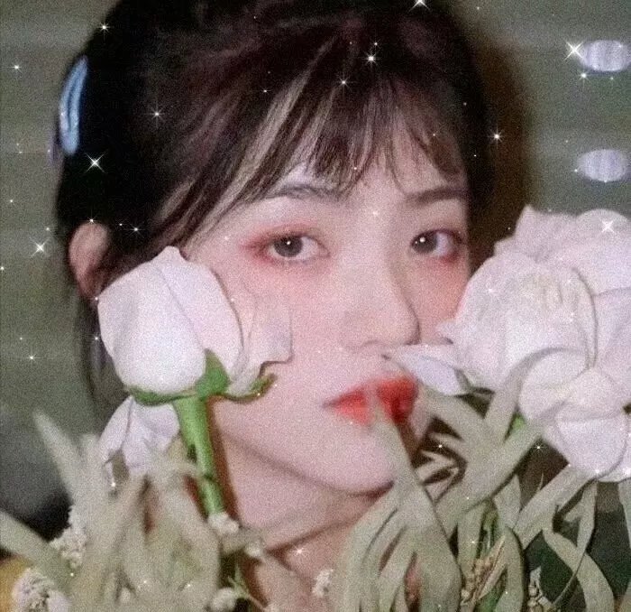 人类未来方程式